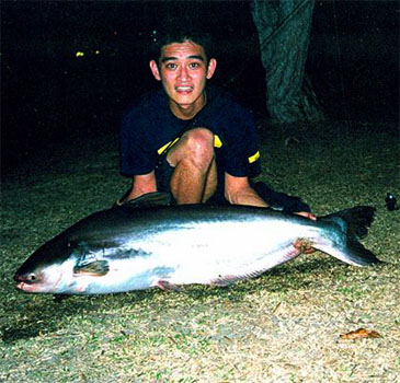 Record photograph for Pseudolais micronemus